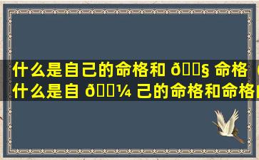 什么是自己的命格和 🐧 命格（什么是自 🌼 己的命格和命格的区别）